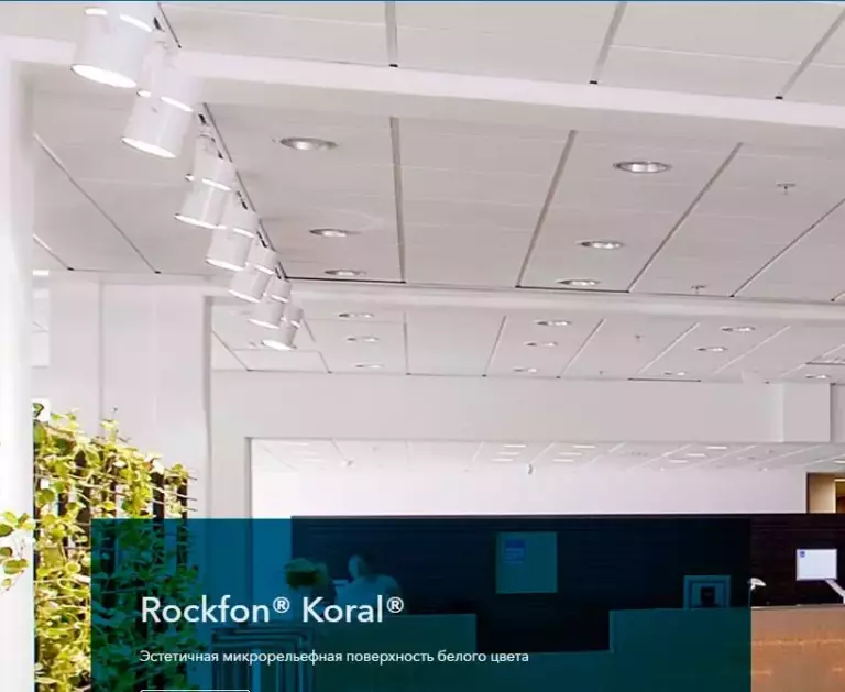 Rockfon Koral
