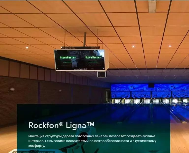 Rockfon Ligna