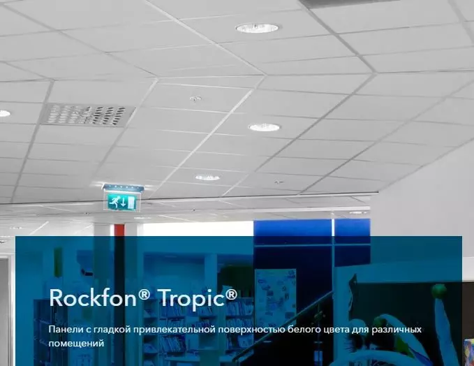 Rockfon Tropic